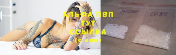 сатива Касимов