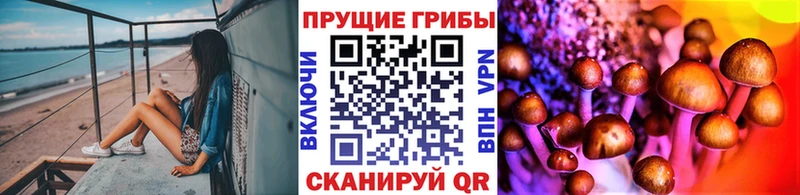 Псилоцибиновые грибы прущие грибы Купить Анжеро-Судженск